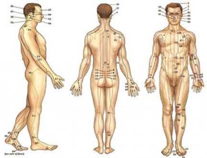 denver acupuncture information guide